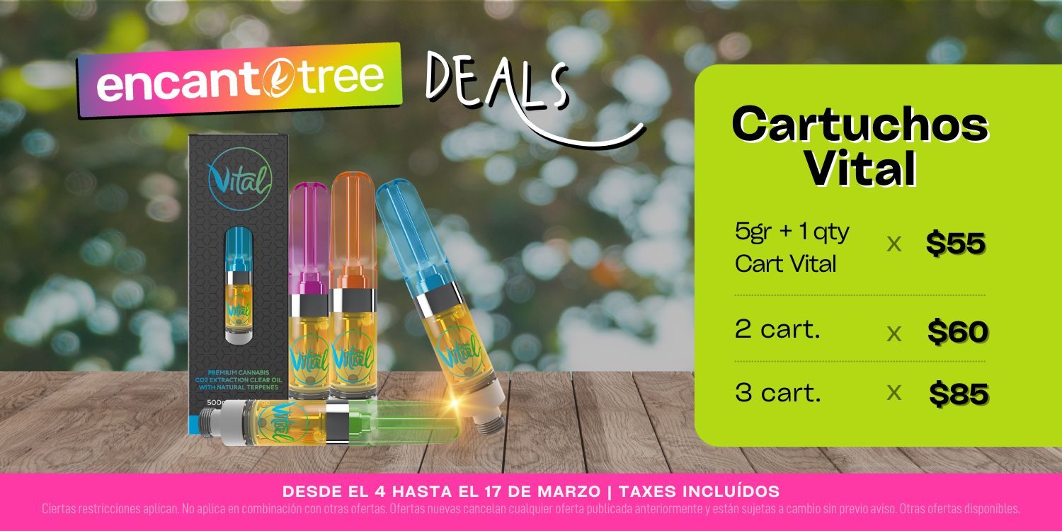 Ofertas de Productos Encanto Tree